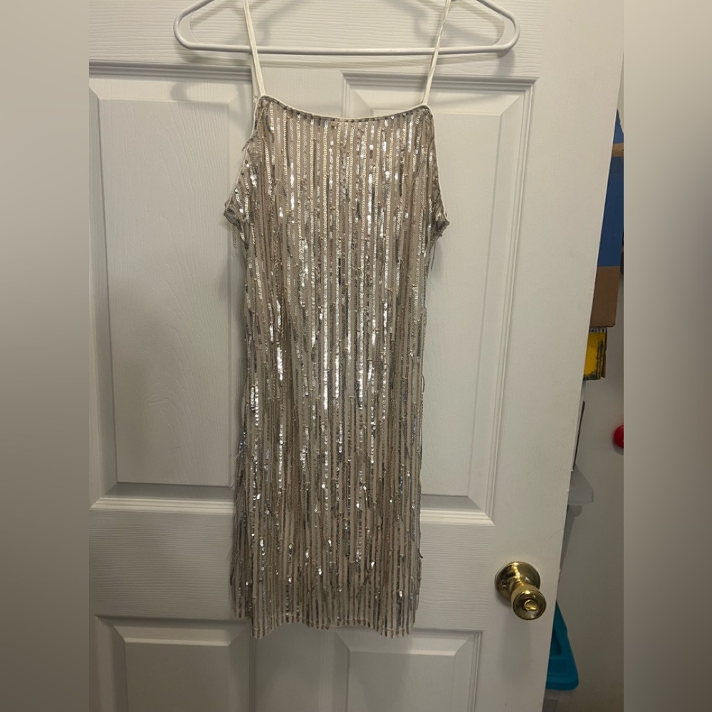 Silver/Gold Sequin Francesca’sMini Dress Sz XS